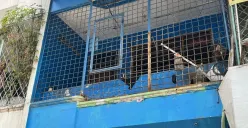 Kos tempat ditemukannya anak perempuan berusia 8 tahun tewas bersimbah darah di kawasan Penjaringan, Jakarta Utara, Selasa, 23 September 2025. (Sumber: Poskota/Pandi Ramedhan)