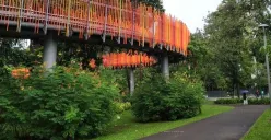 Area rindang Tebet Eco Park dengan pengunjung menikmati ketenangan pagi hari. (Sumber: Pinterest/@Addyart)