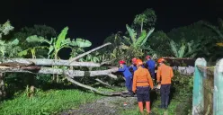 Petugas BPBD meninjau rumah rusak akibat hujan dan angin kencang di Desa Cinangka, Kecamatan Ciampea, Kabupaten Bogor. (Sumber: BPBD Kabupaten Bogor)