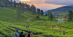 Pergi berlibur ke Puncak, Bogor, temukan beberapa destinasi serunya. (Sumber: Instagram)