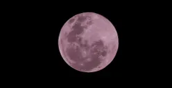 Ilustrasi - Fenomena Pink Moon dapat dilihat pada 1 dan 2 April 2026. (Sumber: Pexels/Luis Felipe)