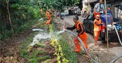 Petugas PPSU saat menyiram tanaman di area eks Tempat Penampungan Sementara (TPS) sampah Rusunawa PIK II, Penggilingan, Jakarta Timur. (Sumber: Dok. Pemkot Jakarta Timur)