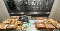 Direktorat Reserse Narkoba Polda Metro Jaya menyita narkotika jenis ganja dengan total berat mencapai 33,6 kilogram dari dua terduga pengedar. (Sumber: Polda Metro Jaya)