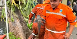 Petugas PPSU saat memegang ikan sapu sapu hasil tangkapan di aliran kali RW 06, Janur Elok VI Blok QD9, Kelapa Gading, Jakarta Utara, Jumat, 17 April 2026. (Sumber: Poskota/M. Tegar Jihad)
