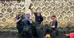 Petugas PPSU saat berburu ikan sapu-sapu  di aliran kali RW 06, Janur Elok VI Blok QD9, Kelapa Gading, Jakarta Utara, Jumat, 17 April 2026. (Sumber: Poskota/M. Tegar Jihad)