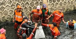 Petugas PPSU saat berburu ikan sapu-sapu  di aliran kali RW 06, Janur Elok VI Blok QD9, Kelapa Gading, Jakarta Utara, Jumat, 17 April 2026. (Sumber: Poskota/M. Tegar Jihad)