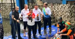 Gubernur DKI Jakarta, Pramono Anung saat memegang ikan sapu-sapu yang telah ditangkap petugas PPSU di aliran kali RW 06, Janur Elok VI Blok QD9, Kelapa Gading, Jakarta Utara, Jumat, 17 April 2026. (Sumber: Poskota/M. Tegar Jihad)