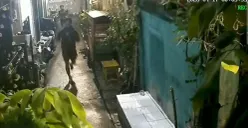 Seorang pria yang diduga hendak melakukan pencurian sepeda motor tewas setelah diamuk massa di kawasan Grogol Selatan, Kebayoran Lama, Jakarta Selatan, Jumat, 17 April 2026 dini hari. (Sumber: Istimewa)