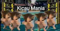 Arti istilah Kicau Mania yang viral di media sosial. (Sumber: TikTok/Memecing)