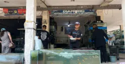 Pedagang ikan hias di TPHP Cengkareng, Jakarta Barat, mengeluhkan kondisi pengunjung yang sepi hingga omset yang menurun hingga mencapai 70 persen. (Sumber: Poskota/Pandi Ramedhan)