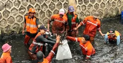 Petugas PPSU saat memegang ikan sapu sapu hasil tangkapan. (Sumber: Poskota/M Tegar Jihad)