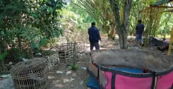 Petugas Polsek Carenang mengumpulkan barang bukti di arena sabung ayam Kampung Bojong Samar, Desa Mekarsari, Kecamatan Carenang, Kabupaten Serang, yang digerebeg pada Minggu sore, 26 April 2026. (Sumber: Polsek Carenang)