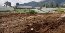 Lokasi temuan 6 korban Longsor Pasirlangu. (Sumber: Poskota/Gatot Poedji Utomo)