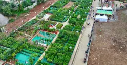 Pasar Garuda Tani Cibinong sediakan lapak tani buah-buahan hingga tanaman hias. (Sumber: Dok. Pemkab Bogor)