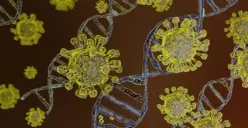 Ilustrasi. Dinkes Jakarta mengingatkan potensi penyebaran virus Nipah. (Sumber: Freepik/@freepik)