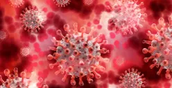 Ilustrasi virus nipah. (Sumber: Pixabay/Geralt)