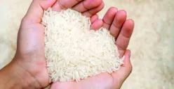 Ilustrasi. Beras untuk zakat fitrah. (Sumber: Pinterest/Jtluce)