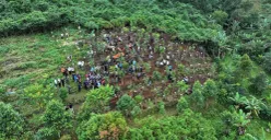 Lahan hutan kota di wilayah Cisarua, Kabupaten Bogor. (Sumber: Dok. Pemkab Bogor)