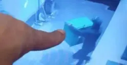 Warga menunjuk pencuri bertopi menggondol kotak amal ukuran besar Masjid Jami Fatimah Azzahra. (Sumber: Istimewa)