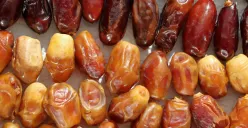 Ilustrasi - Manfaat kurma bagi tubuh saat berbuka puasa. (Sumber: Pexels/Mustafa Akin)