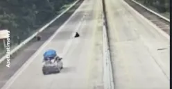 Seorang santri tewas usai tertabrak mobil di Tol Bakauheni, Lampung. (Sumber: Istimewa/Tangkapan Layar)