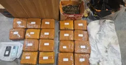 Barang bukti narkoba jenis ganja sekira 18 kilogram yang diamankan polisi dalam operasi yang digelar di Jakarta Barat, Kamis, 19 Februari 2026 malam. (Sumber: Mabes Polri)