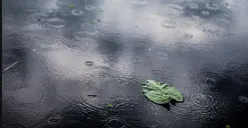 Wilayah DKI Jakarta diprediksi akan turun hujan pada Sabtu, 28 Februari 2026, cek prediksi BMKG. (Sumber: Freepik)