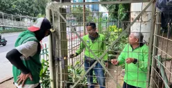Taman Hutan Kota Cawang, Jakarta Timur, Sabtu, 28 Februari 2026. (Sumber: Poskota/M Tegar Jihad)