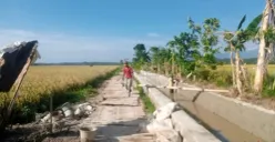 Proyek irigasi DI Cukang Sadang di Kecamatan Pagelaran, Pandeglang, yang dikerjakan oleh PT. Nidya Karya. (Sumber: Poskota/Samsul Fatoni)