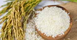 Pemerintah Lanjutkan Bansos Beras 2026 Sebanyak 720 Ribu Ton, Ini Jadwal dan Tata Cara Pengambilannya (Sumber: Pinterest)