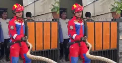 Petugas Damkar dan Penyelamatan Kabupaten Bogor mengevakuasi ular sanca yang masuk ke saluran pembuangan air rumah warga. (Sumber: tangkapan layar)