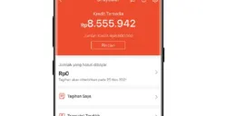 Saldo Shopee Paylater. (Sumber: Tangkapan layar Shopee)