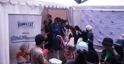Sterilisasi ratusan kucing gratis di Balai Yos Sudarso, Kompleks Kantor Wali Kota Jakarta Utara, Minggu, 18 Januari 2026. (Sumber: Dok. Istimewa)