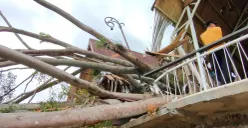 Pohon beringin tua ambruk menimpa Warung, di Kecamatan Padalarang, Kabupaten Bandung Barat, Kamis 22 Januari 2026. (Sumber: Poskota/Gatot Poedji Utomo)