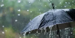 Ilustrasi cuaca ekstrem di Jakarta (Sumber: Pinterest/Annie Bardakejian)