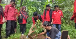 Sekretaris DPC PDI Perjuangan Pandeglang dan jajarannya saat melakukan penanaman pohon di wilayah Menes. (Sumber: Poskota/Samsul Fatoni)