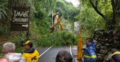 Petugas mengevakuasi pohon bambu yang tumbang akibat bencana longsor, di kawasan Jalan Kolonel Masturi, Bandung Barat. (Sumber: Poskota/Gatot Poedji Utomo)
