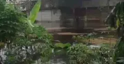 Banjir campur oli di kawasan Olex, Desa Cisereh, Kecamatan Tigaraksa, Kabupaten Tangerang. (Sumber: Istimewa)