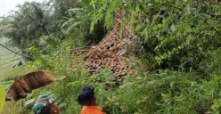 Petugas BPBD dan TNI mengecek lokasi pergeseran tanah di wilayah Sukamakmur, Kabupaten Bogor. (Sumber: Poskota/Giffar Rivana)