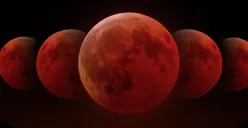 Ilustrasi fenomena "Blood Moon" atau gerhana bulan total yang akan terjadi Selasa, 3 Maret 2026. (Sumber: Instagram/@brin_indonesia)