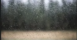 Prakiraan cuaca Jakarta Jumat, 6 Maret 2026 menurut BMKG. (Sumber: Freepik)