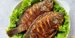 Ilustrasi ikan goreng berbumbu marinasi yang praktis disiapkan sebagai menu sahur bergizi selama Ramadan. (Sumber: Pinterest)