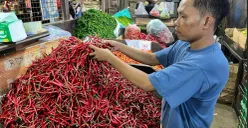 Sodiq penjual cabe di Pasar Senen, Jakarta Pusat, Minggu, 29 Maret 2026. (Sumber: Poskota/M. Tegar Jihad).)