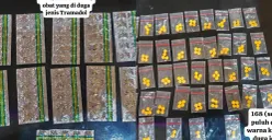 Barang bukti obat keras yang berhasil diamankan oleh pihak kepolisian. (Sumber: Istimewa)