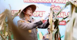 Kapolres Cimahi, AKBP Niko N. Adi Putra turut memanen jagung di Bandung Barat. (Sumber: Poskota/Gatot Poedji Utomo)