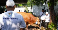 BNI menyalurkan 1.200 hewan kurban ke beberapa daerah saat perayaan Idul Adha 1447 H/2026. (Sumber: Dok. BNI)