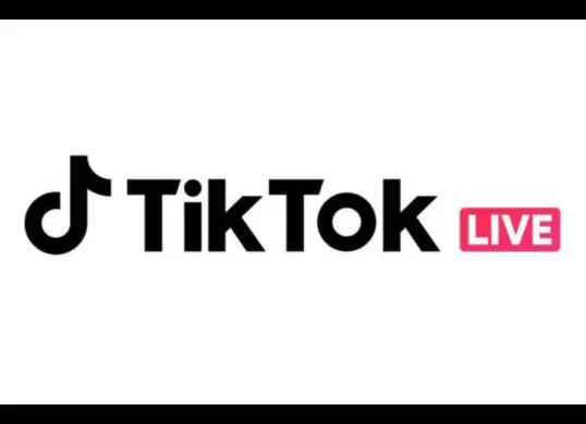 Ikuti cara ini untuk mulai siaran langsung atau live di TikTok tanpa perlu menunggu 1000 follower (Sumber: Pinterest)