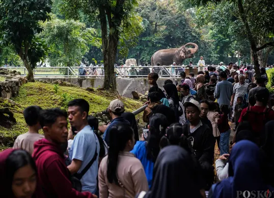 Taman Margasatwa Ragunan, Pasar Minggu, Jakarta Selatan. (Sumber: Poskota/Bilal Nugraha Ginanjar)