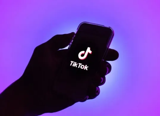 Arti kata Stecu yang sedang viral di TikTok. (Sumber: Pinterest)