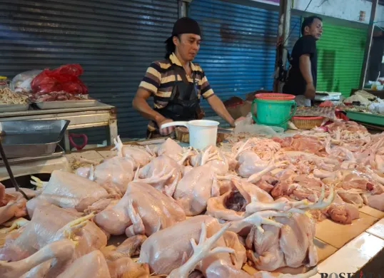 Sopian, pedagang ayam potong di Pasar Reni Jaya Lama, mengaku anjloknya harga jual daging ayam potong membuat omsetnya turun, Minggu 27 April 2025. (Sumber: Poskota/Angga Pahlevi)